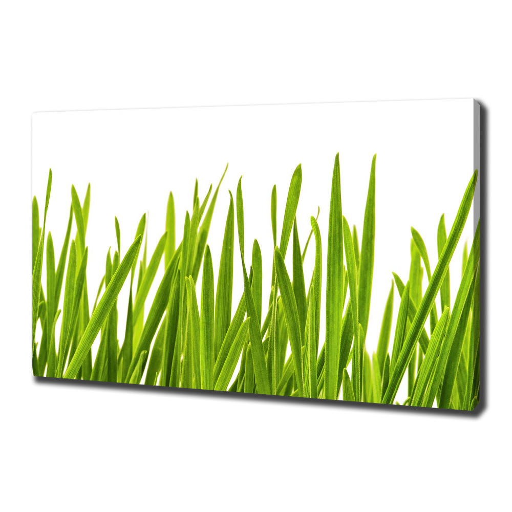 Canvas wall art Grass