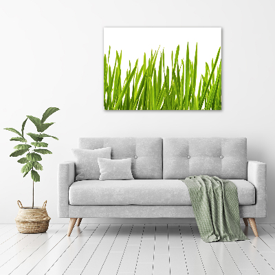 Canvas wall art Grass