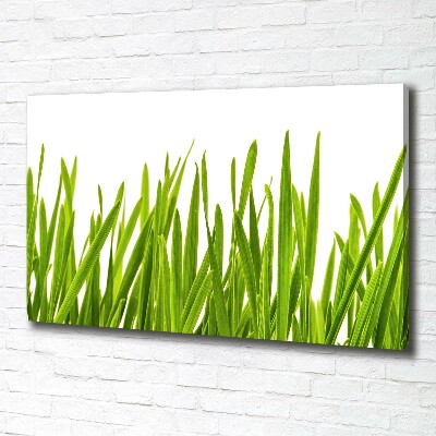 Canvas wall art Grass