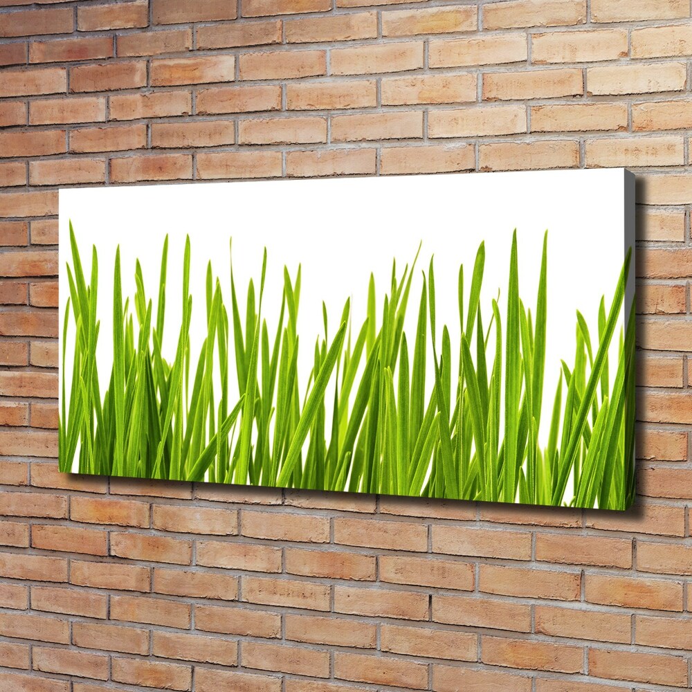 Canvas wall art Grass