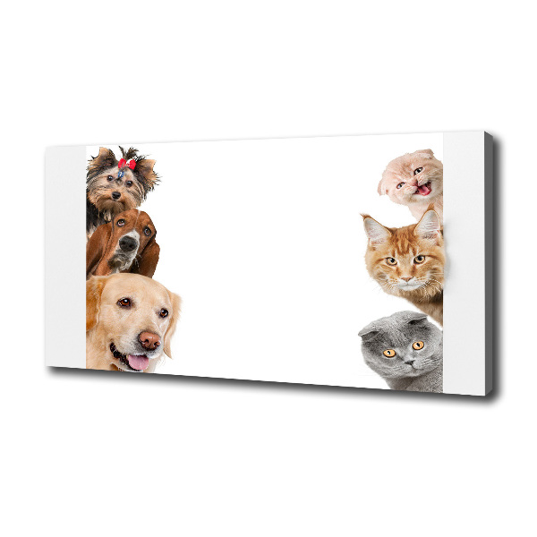 Canvas wall art Dogs and cats