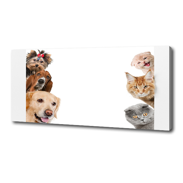 Canvas wall art Dogs and cats