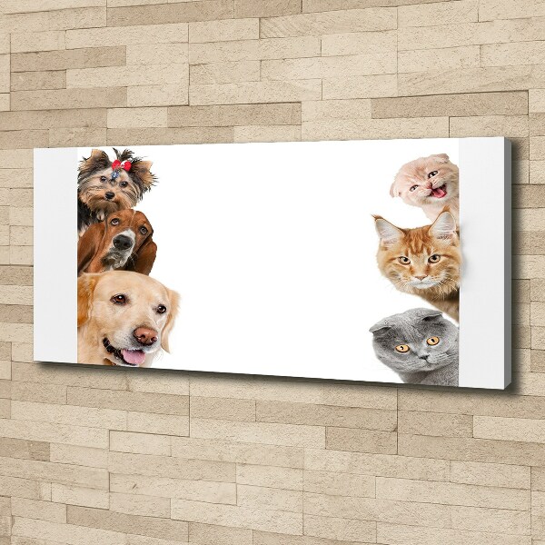 Canvas wall art Dogs and cats