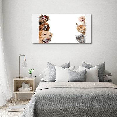 Canvas wall art Dogs and cats