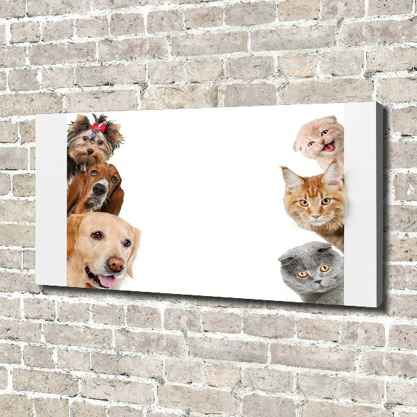 Canvas wall art Dogs and cats