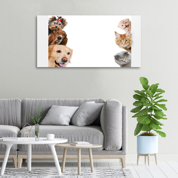 Canvas wall art Dogs and cats