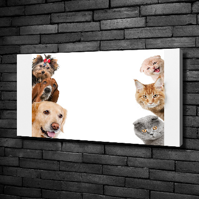 Canvas wall art Dogs and cats