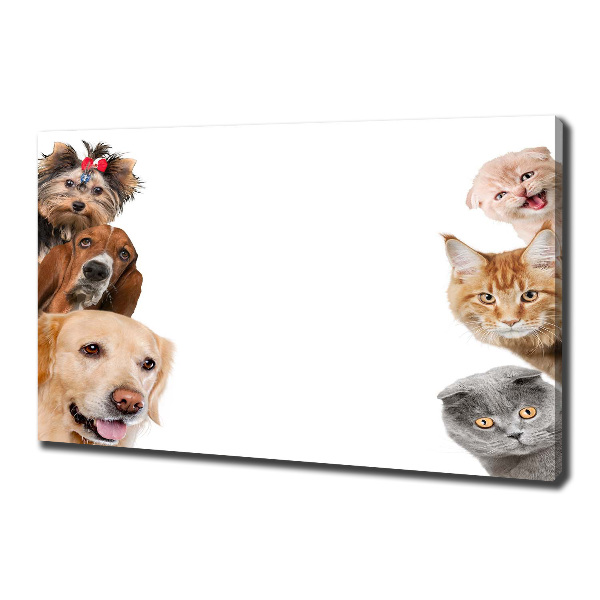 Canvas wall art Dogs and cats