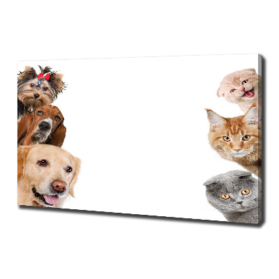 Canvas wall art Dogs and cats