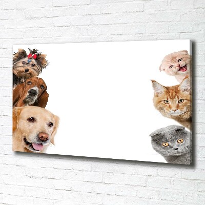 Canvas wall art Dogs and cats