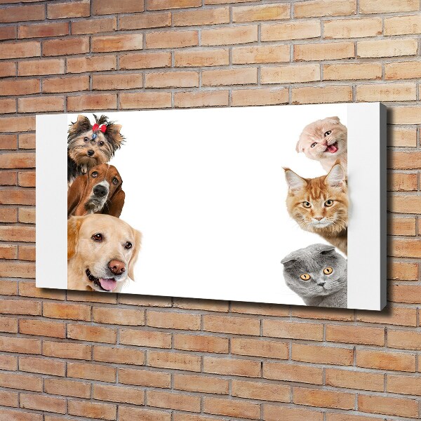 Canvas wall art Dogs and cats