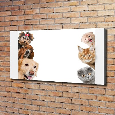 Canvas wall art Dogs and cats