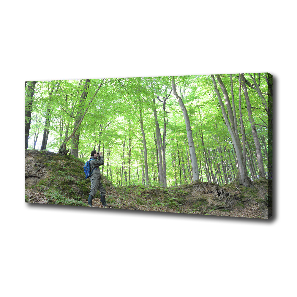 Canvas wall art Ornithologist in the forest