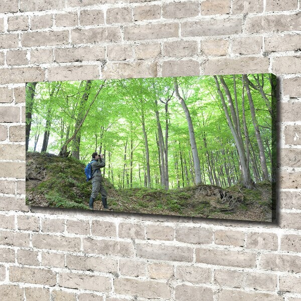 Canvas wall art Ornithologist in the forest