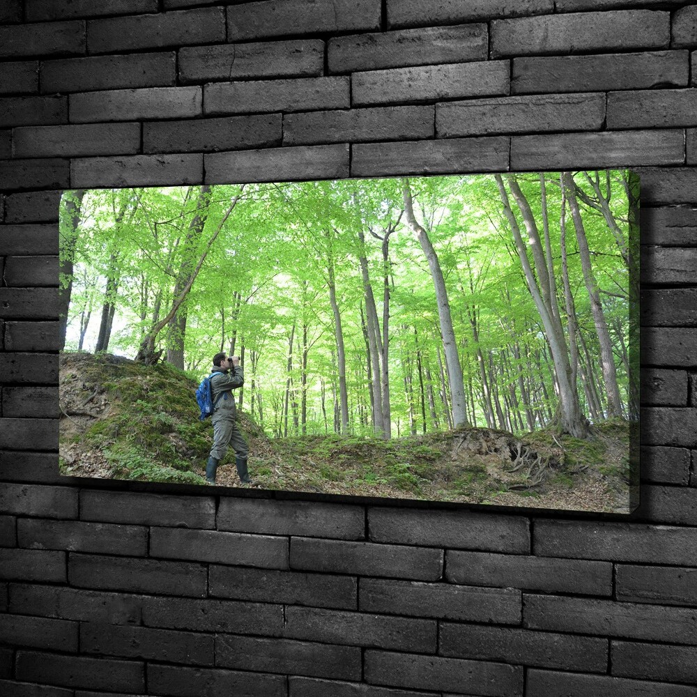 Canvas wall art Ornithologist in the forest