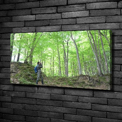 Canvas wall art Ornithologist in the forest