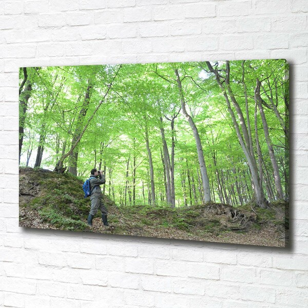 Canvas wall art Ornithologist in the forest