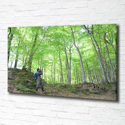 Canvas wall art Ornithologist in the forest