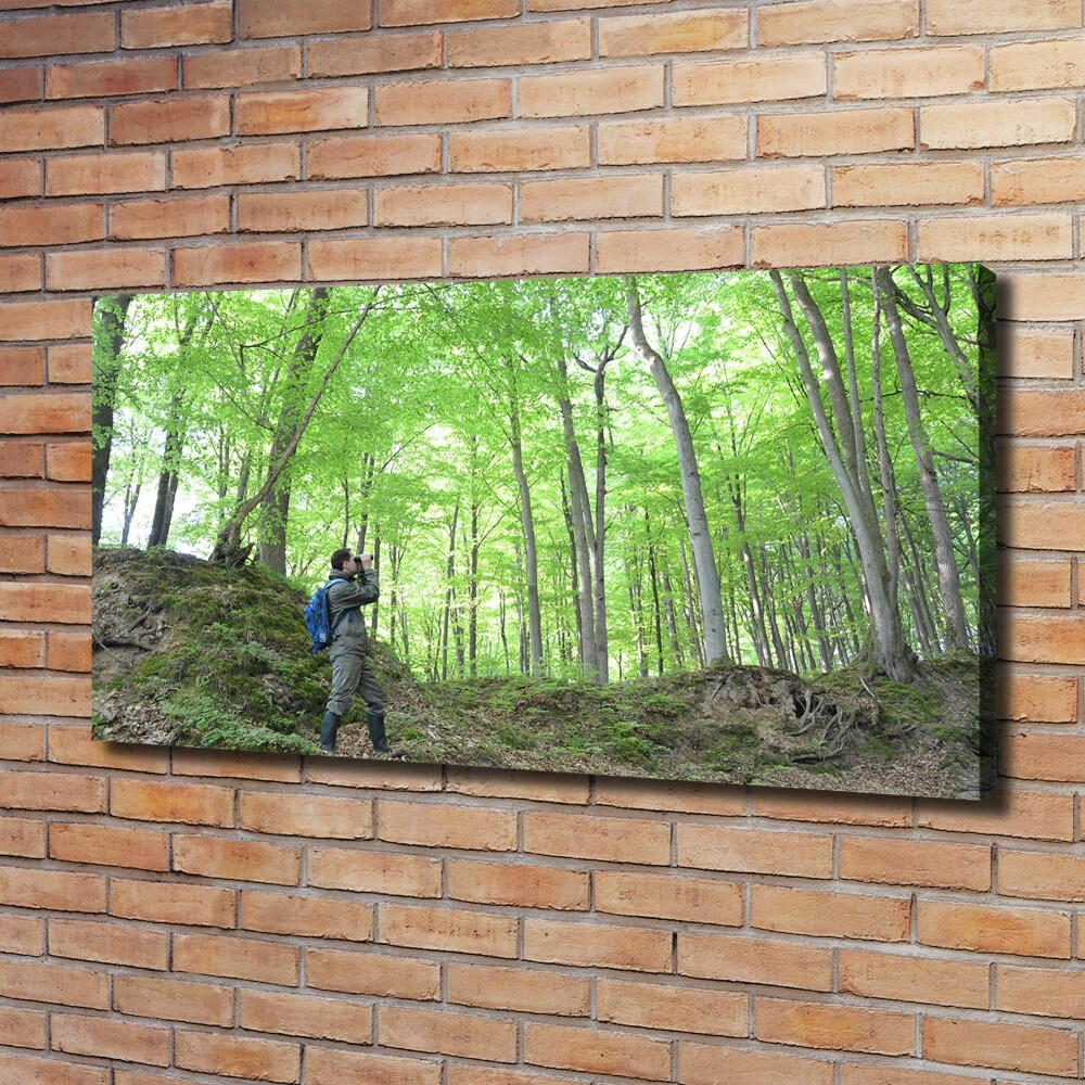 Canvas wall art Ornithologist in the forest