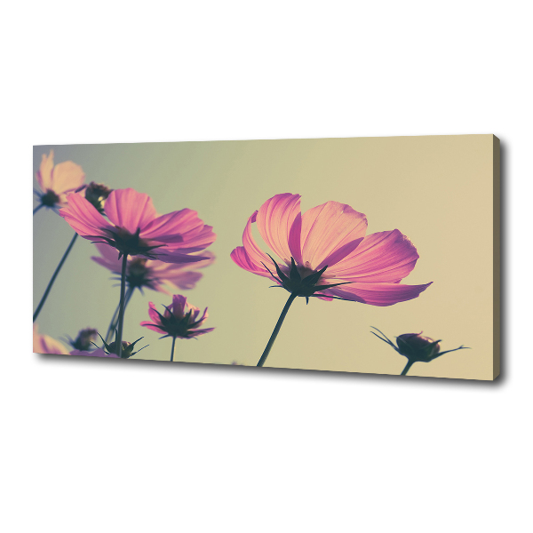 Canvas wall art Pink flowers