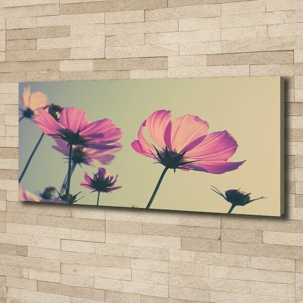 Canvas wall art Pink flowers