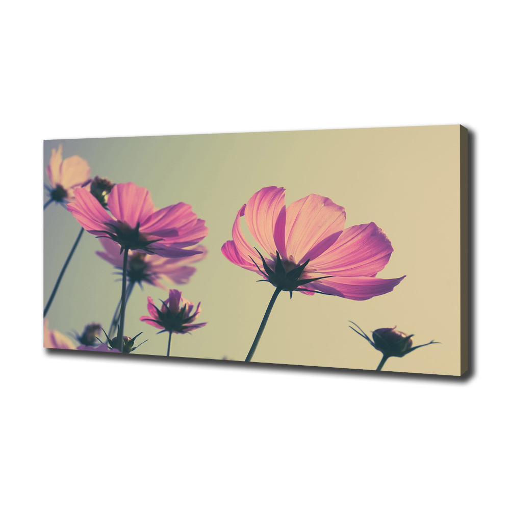 Canvas wall art Pink flowers