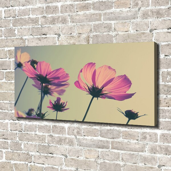 Canvas wall art Pink flowers