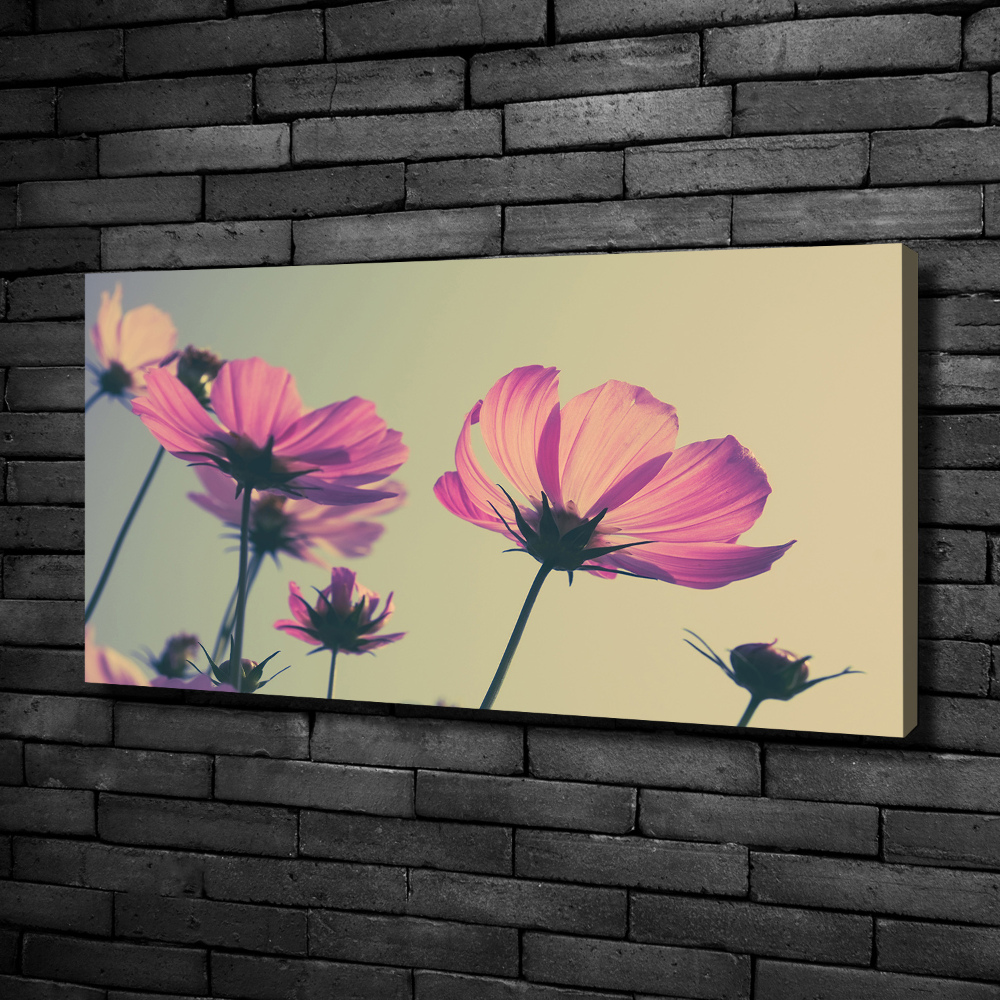 Canvas wall art Pink flowers