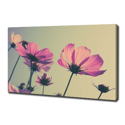 Canvas wall art Pink flowers