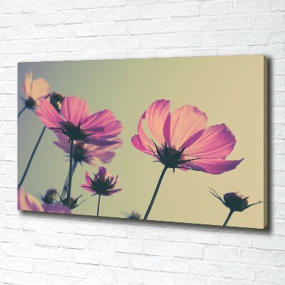 Canvas wall art Pink flowers