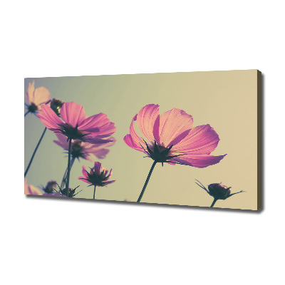 Canvas wall art Pink flowers