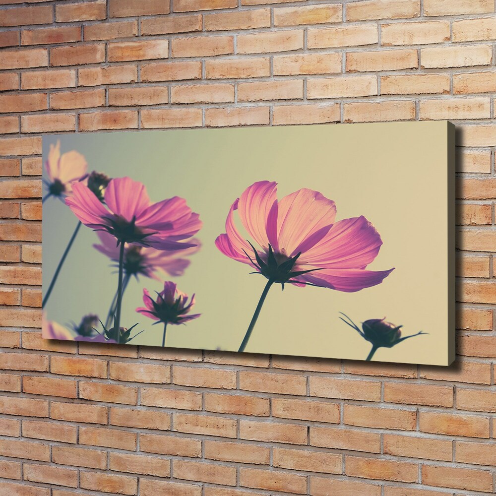 Canvas wall art Pink flowers