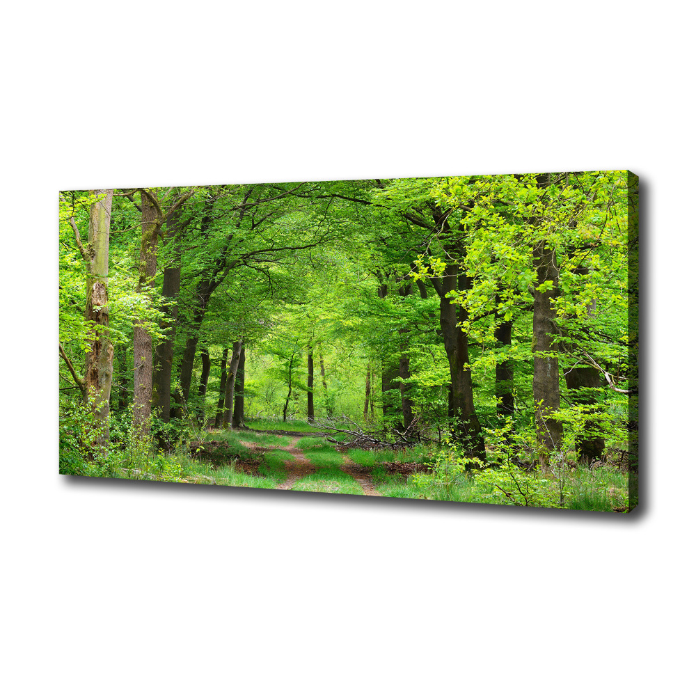 Canvas wall art Spring forest