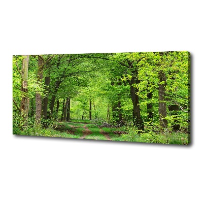 Canvas wall art Spring forest