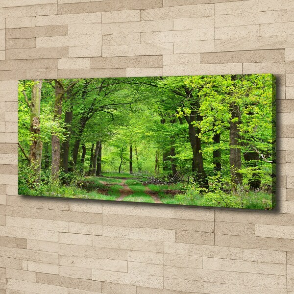 Canvas wall art Spring forest