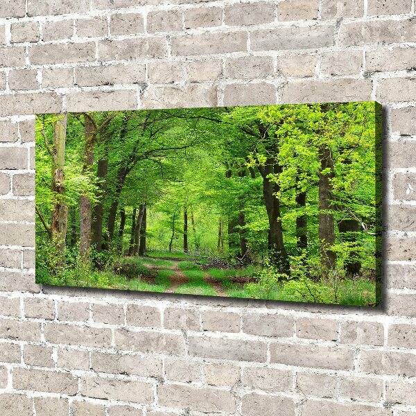 Canvas wall art Spring forest