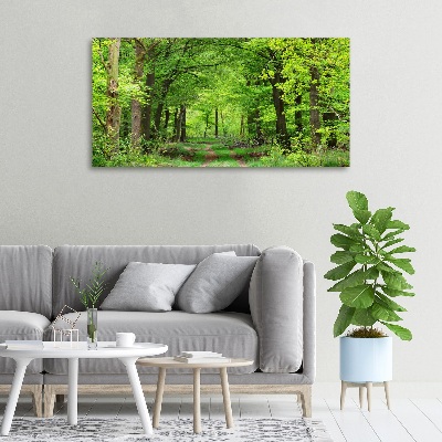 Canvas wall art Spring forest