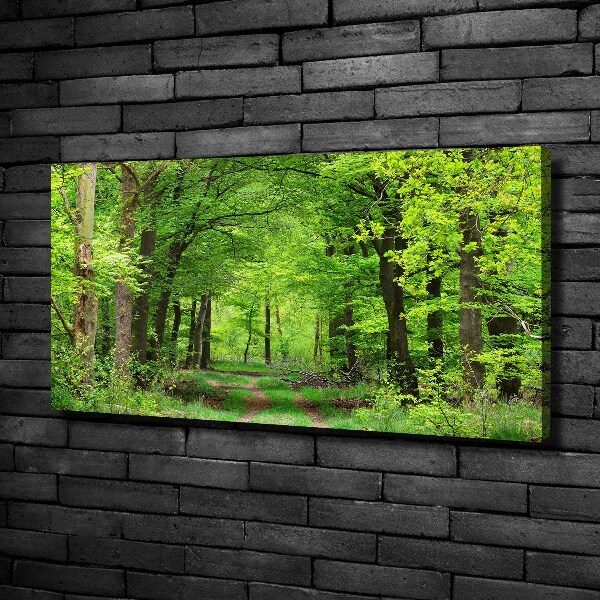 Canvas wall art Spring forest