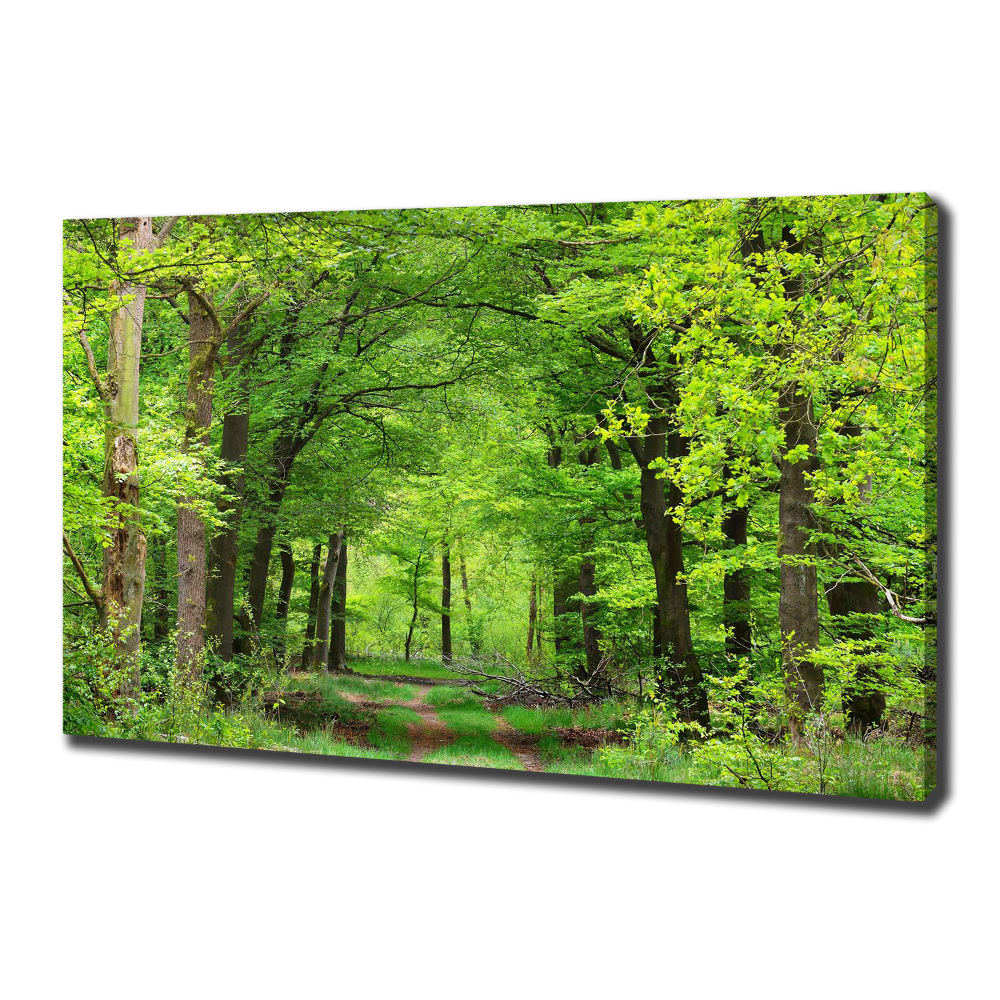 Canvas wall art Spring forest