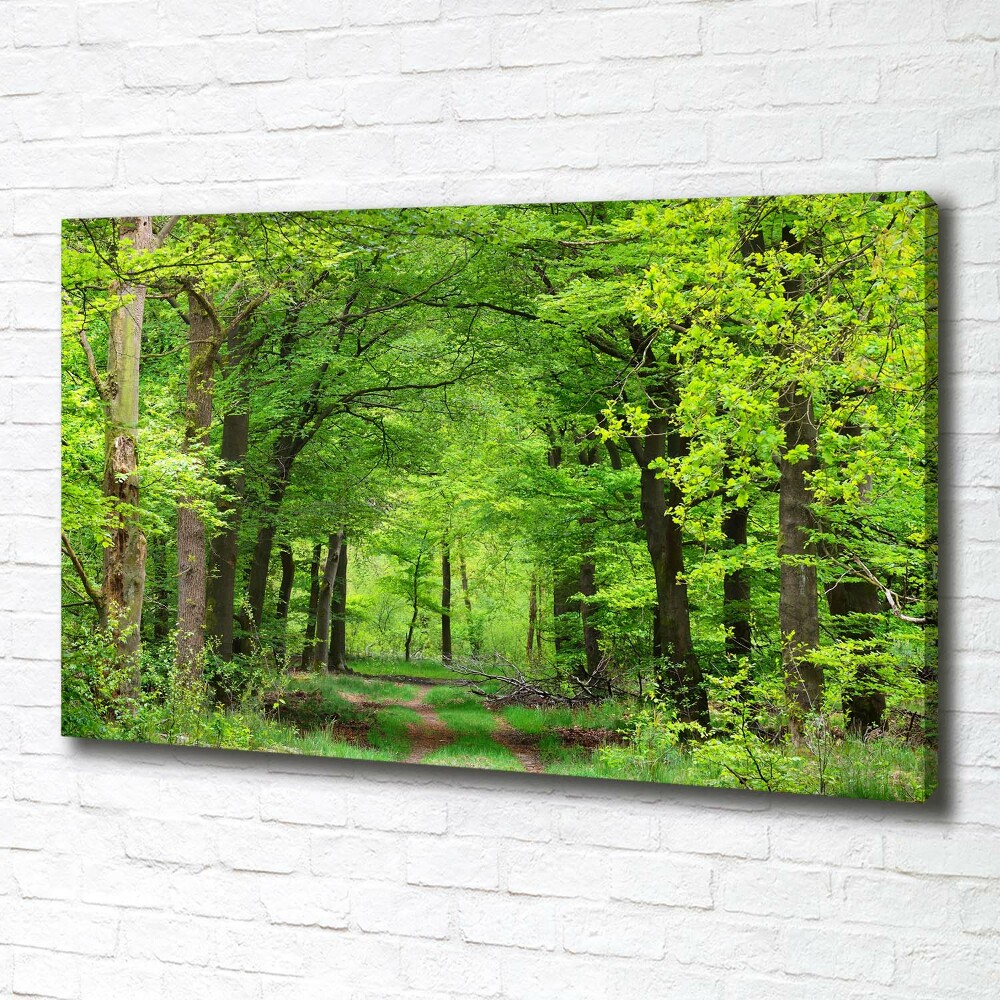 Canvas wall art Spring forest