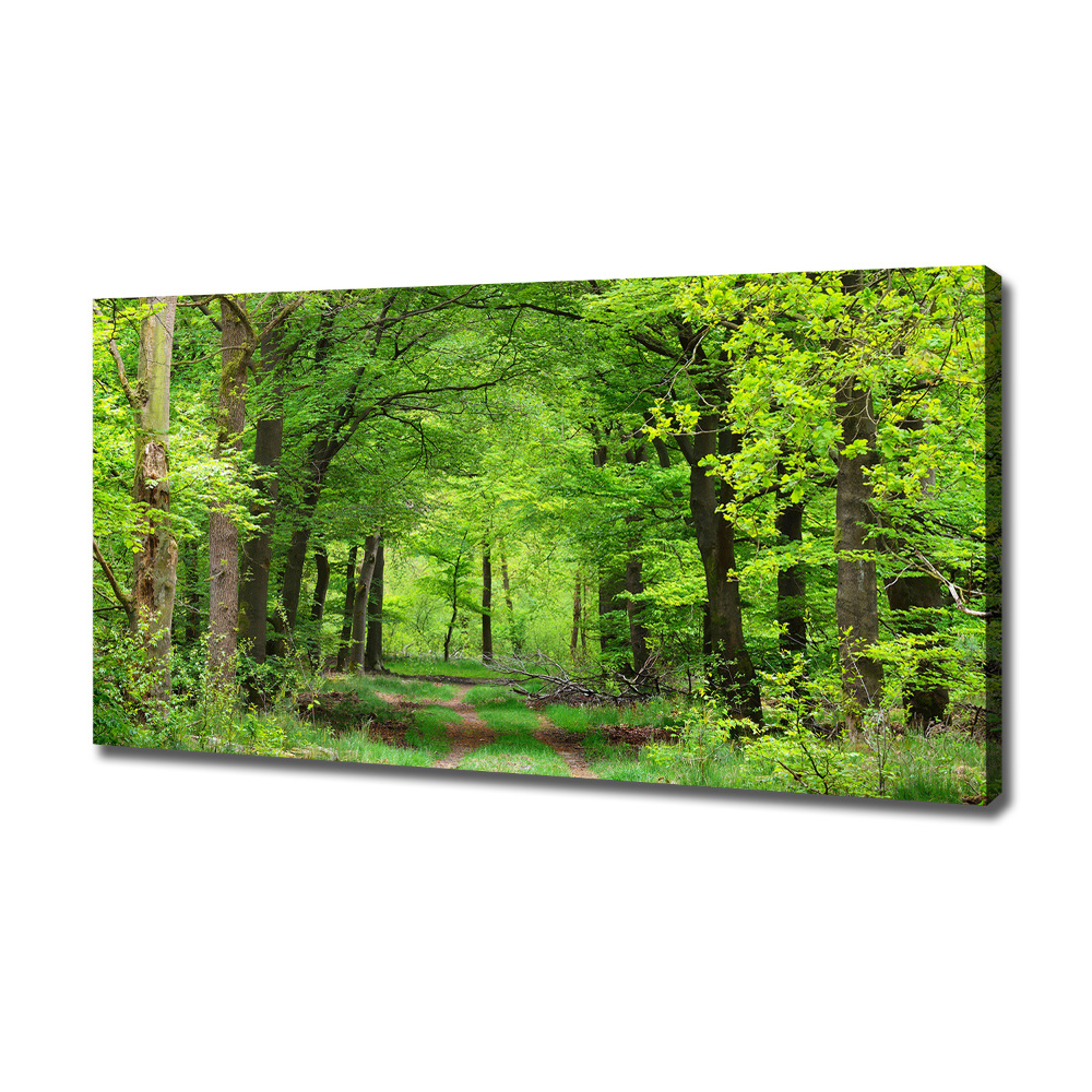 Canvas wall art Spring forest