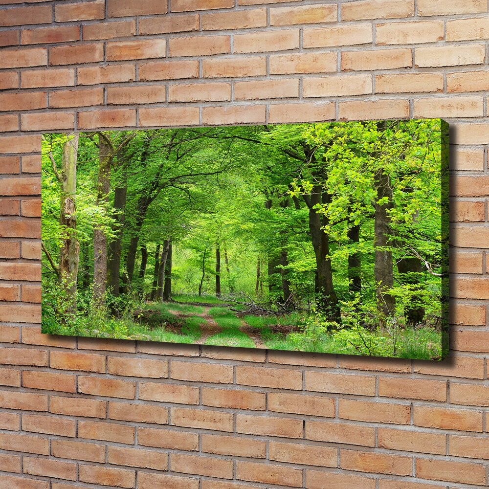 Canvas wall art Spring forest