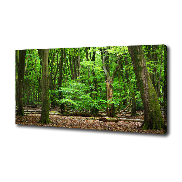 Canvas wall art Dutch forest