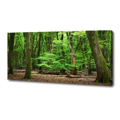 Canvas wall art Dutch forest