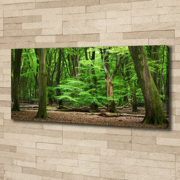 Canvas wall art Dutch forest