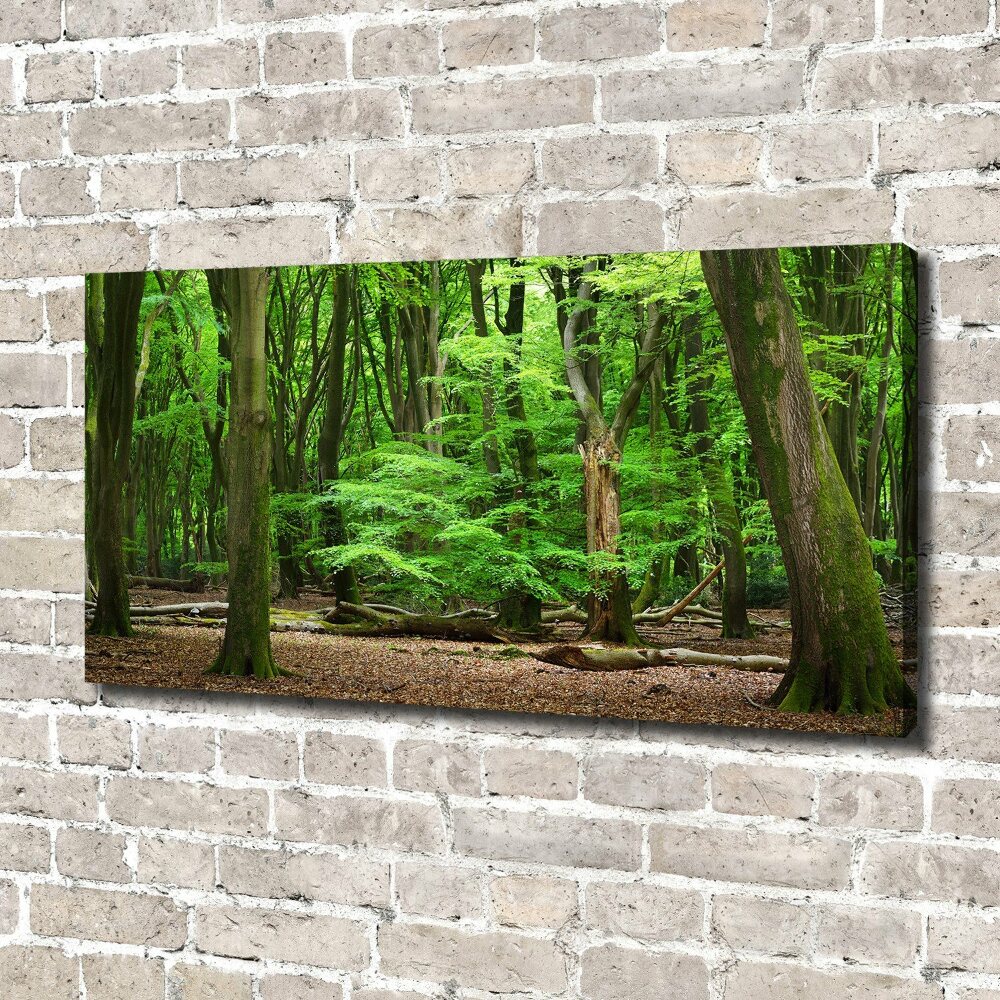 Canvas wall art Dutch forest