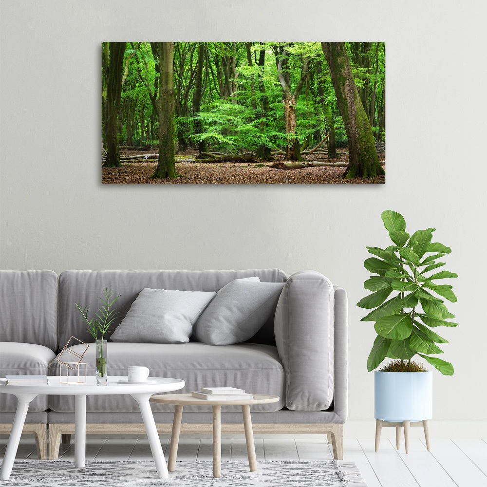 Canvas wall art Dutch forest