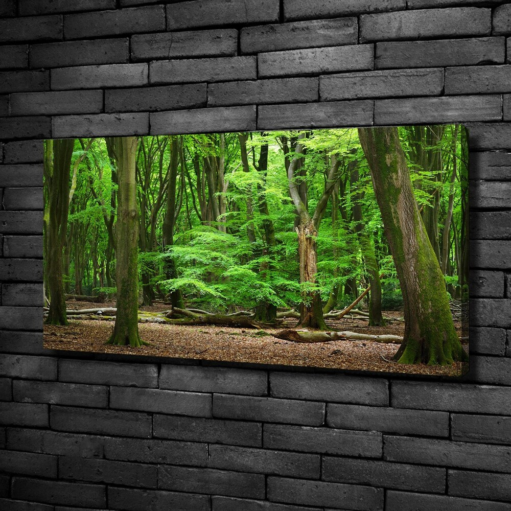 Canvas wall art Dutch forest