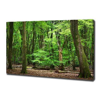 Canvas wall art Dutch forest