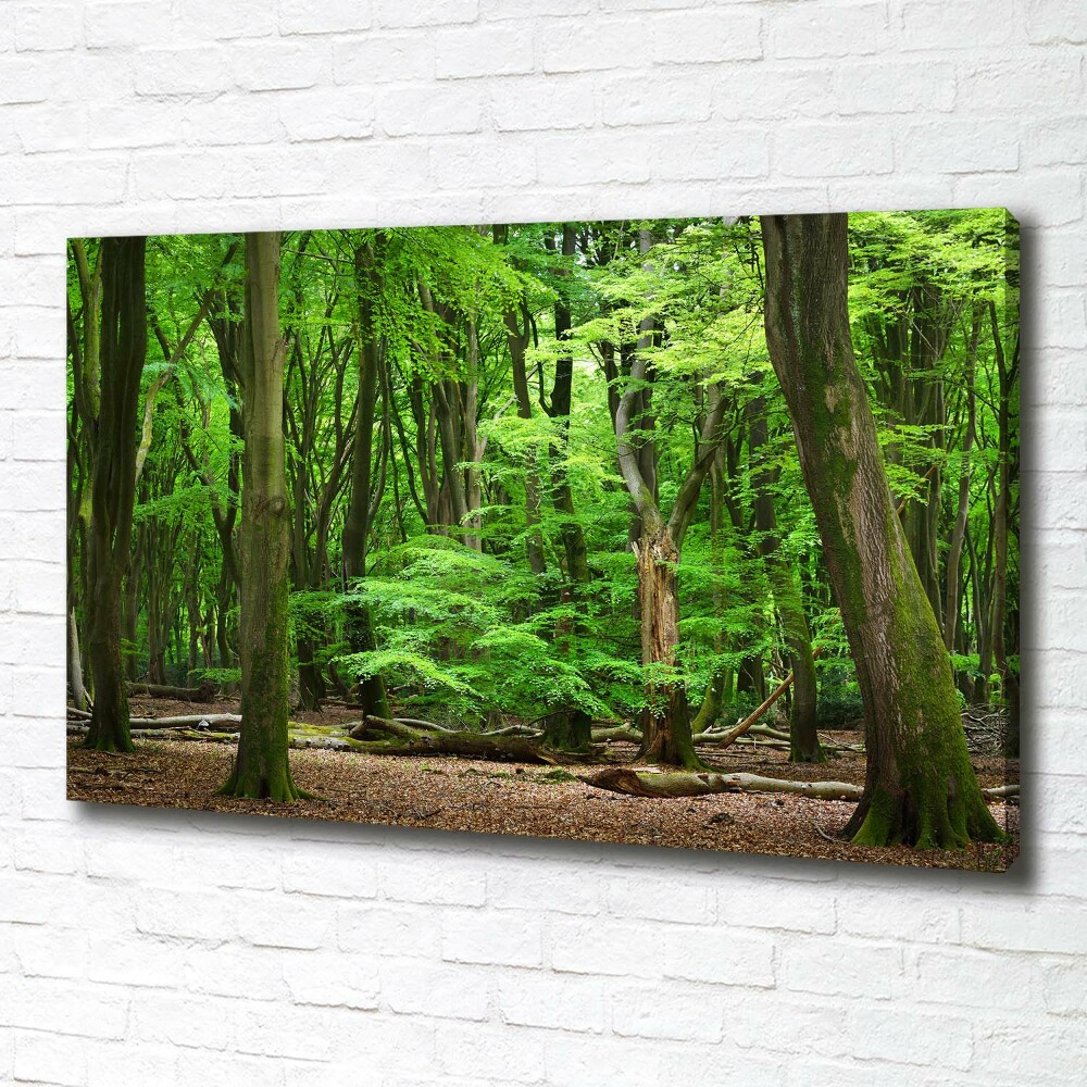 Canvas wall art Dutch forest